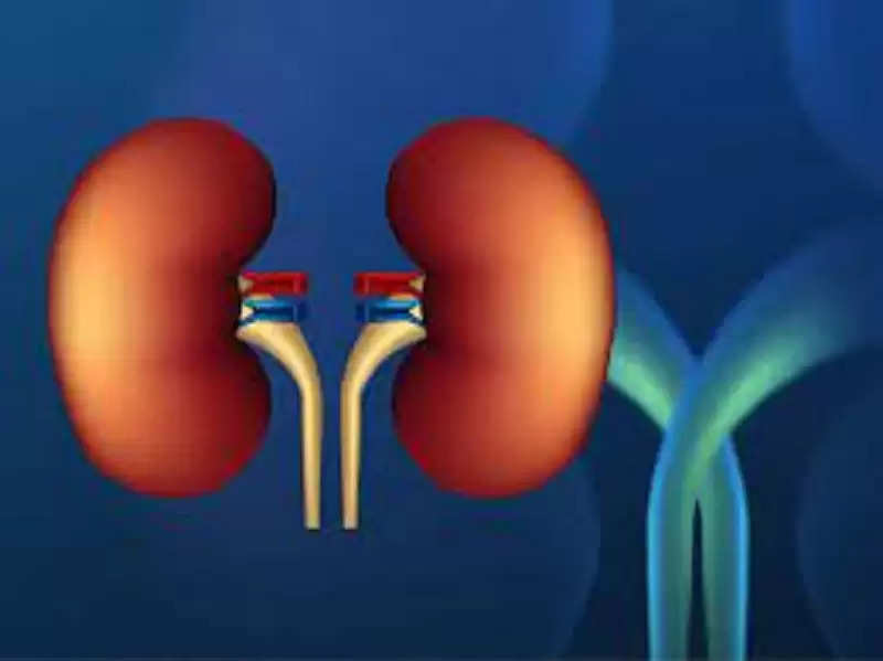 kidney-function-test-what-is-a-kidney-function-test-why-is-it